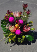Protea